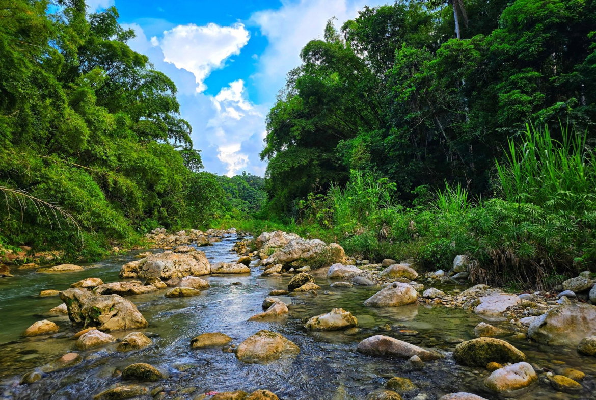 Eighth image of Richards Pen, st Mary in Gayle, St. Mary, Jamaica - property is For Sale