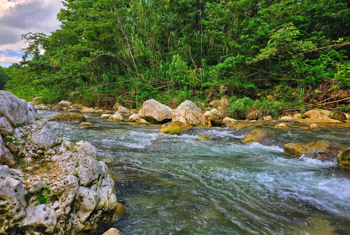 Ninth image of Richards Pen, st Mary in Gayle, St. Mary, Jamaica - property is For Sale