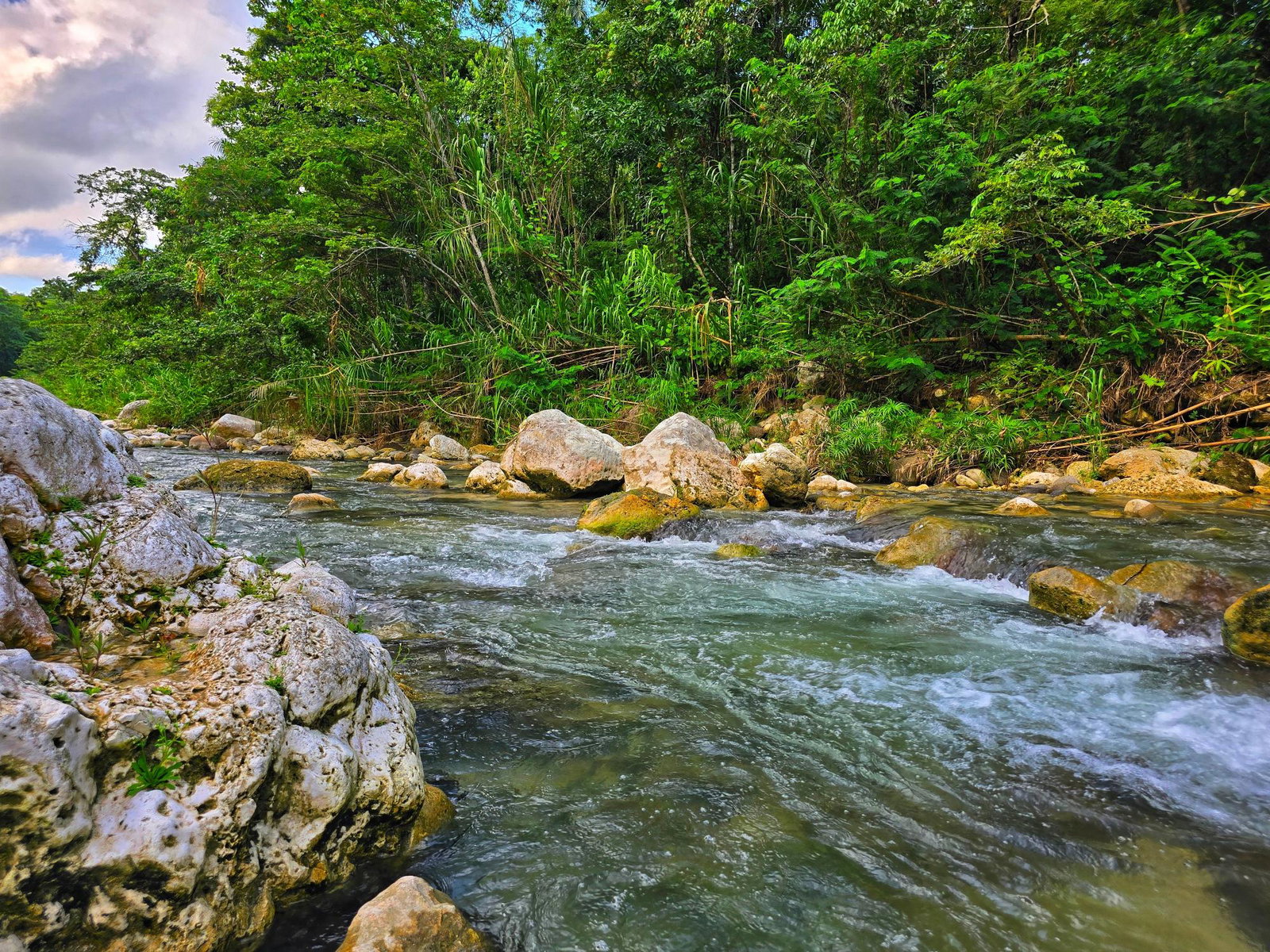 Eco-Retreat-Paradise-for-Sale-in-Richards-Pen-Jamaica Ninth image of Richards Pen, st Mary in Gayle, St. Mary, Jamaica - property is For Sale