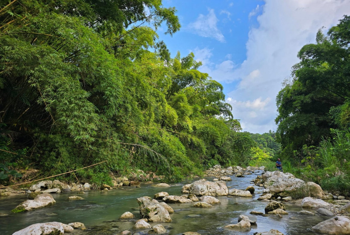 Tenth image of Richards Pen, st Mary in Gayle, St. Mary, Jamaica - property is For Sale