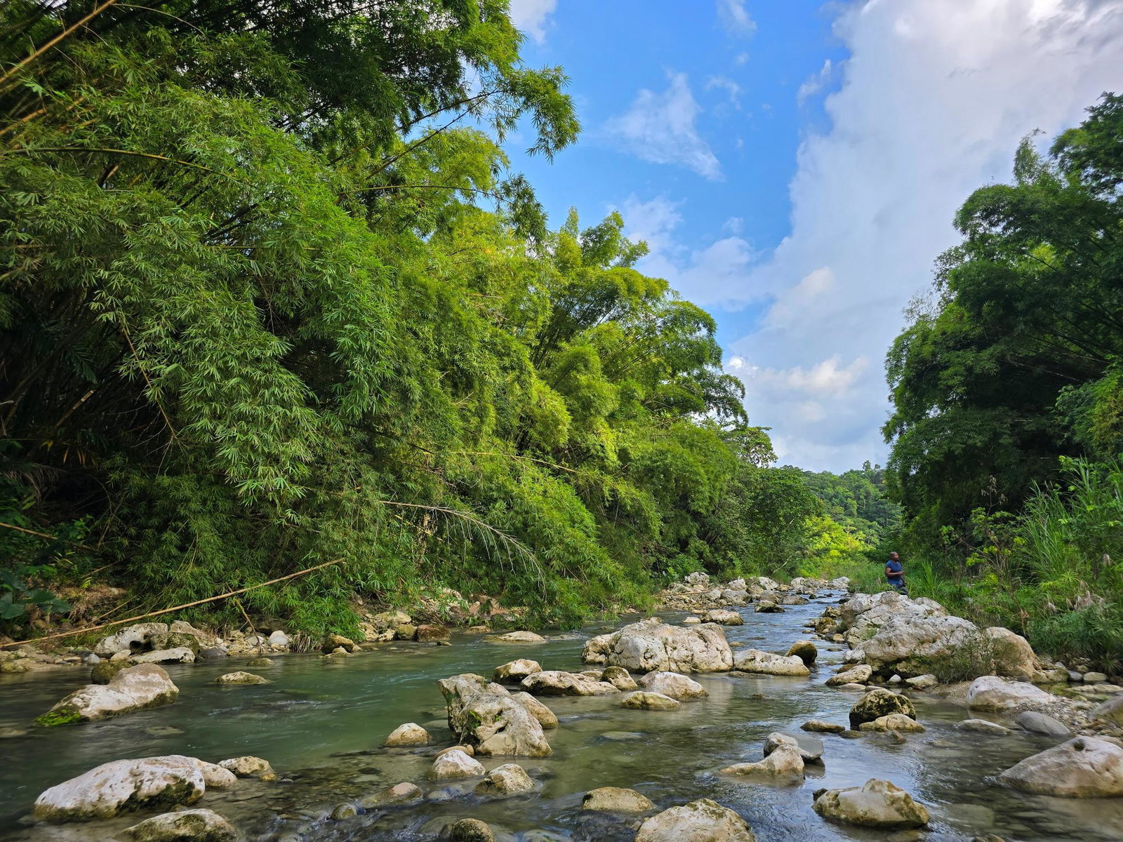 Eco-Retreat-Paradise-for-Sale-in-Richards-Pen-Jamaica Tenth image of Richards Pen, st Mary in Gayle, St. Mary, Jamaica - property is For Sale
