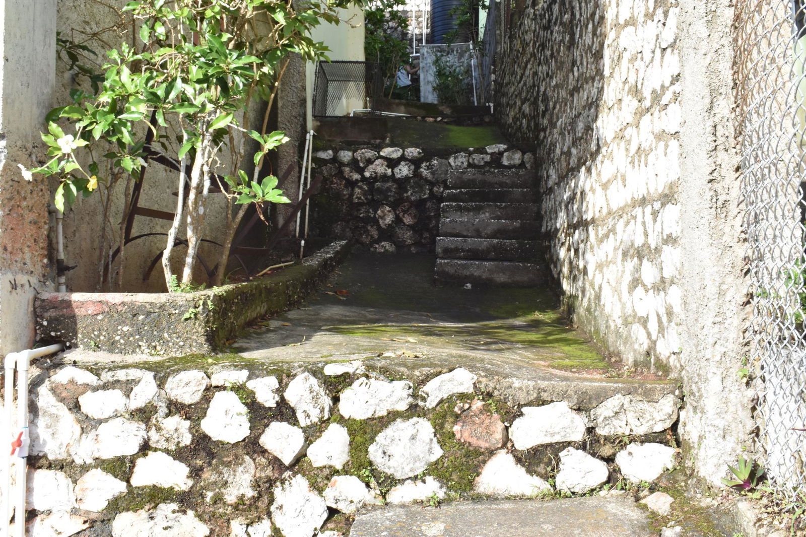 Twenty-Fifth image of 20 Fort George Heights, King in Kingston 9, St. Andrew, Jamaica - property is For Sale
