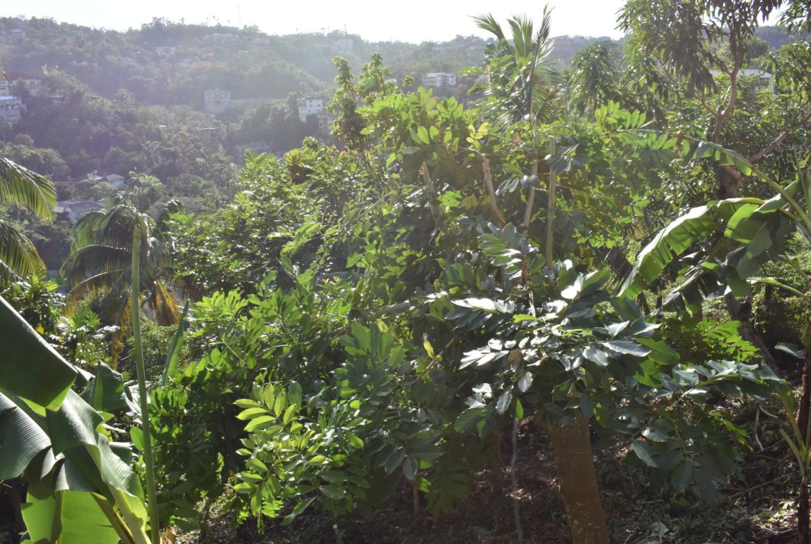 Twenty-Seventh image of 20 Fort George Heights, King in Kingston 9, St. Andrew, Jamaica - property is For Sale