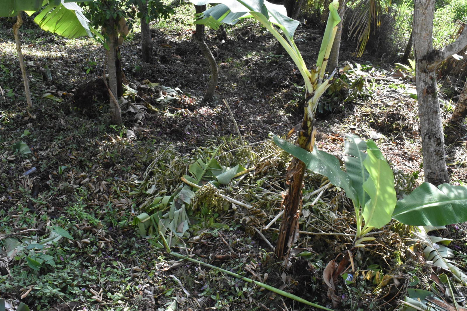 Twenty-Eighth image of 20 Fort George Heights, King in Kingston 9, St. Andrew, Jamaica - property is For Sale