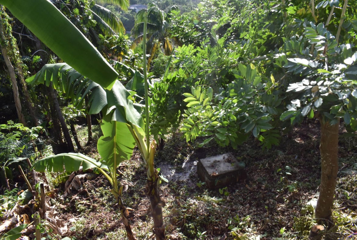 Twenty-Ninth image of 20 Fort George Heights, King in Kingston 9, St. Andrew, Jamaica - property is For Sale