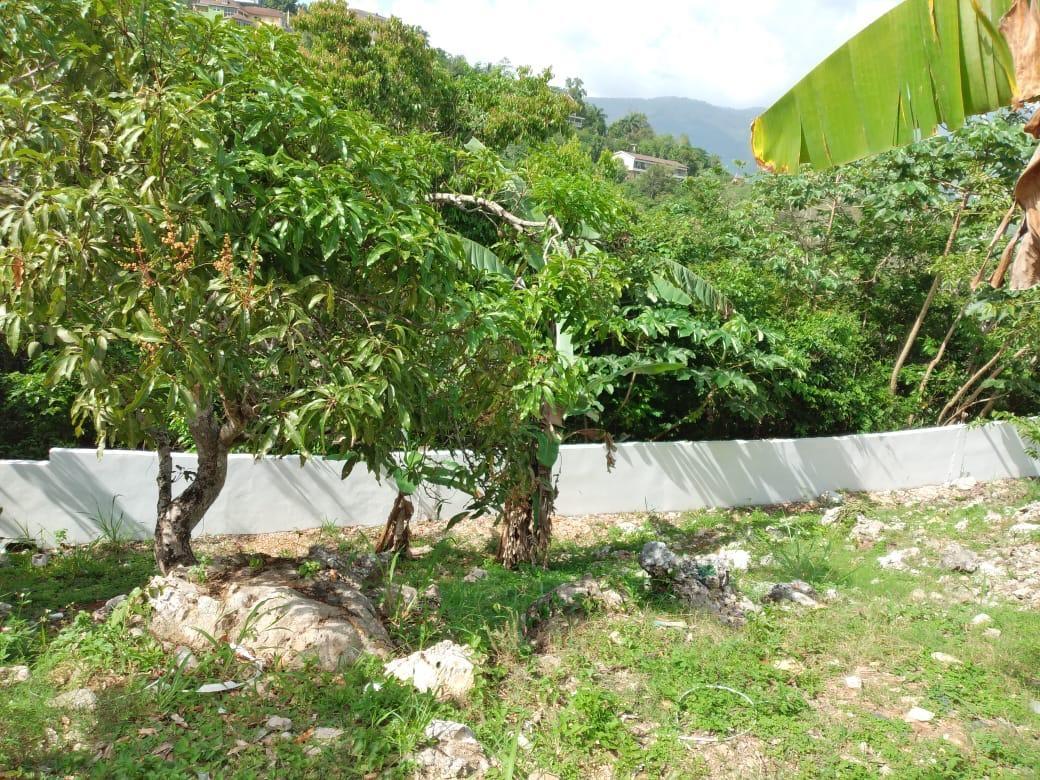 Seventeenth image of 8 Aries Avenue in Kingston 19, St. Andrew, Jamaica - property is For Rent