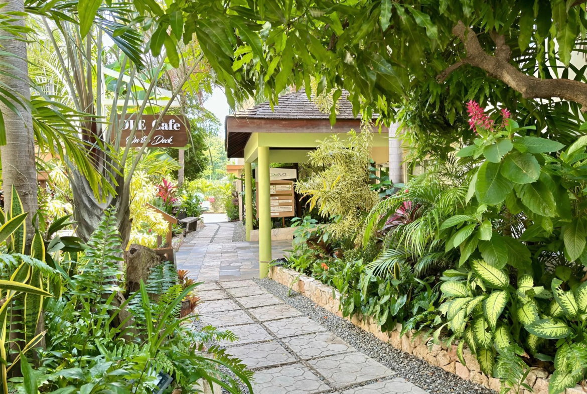 Fourth image of 9-11 Phoenix Avenue in Kingston 10, St. Andrew, Jamaica - property is For Sale