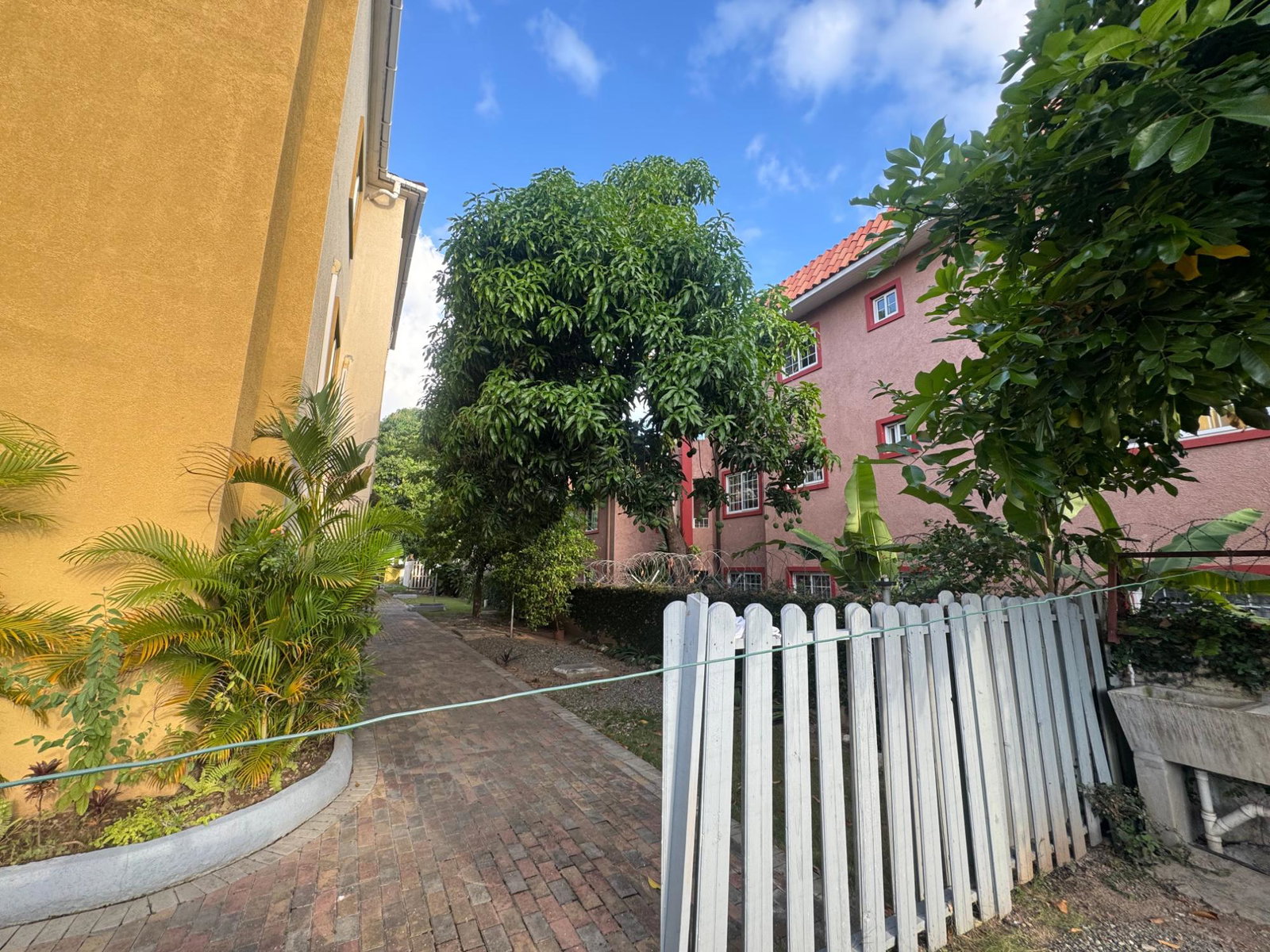 Ninth image of 13-7 Liguanea Ave in Kingston 6, St. Andrew, Jamaica - property is For Rent