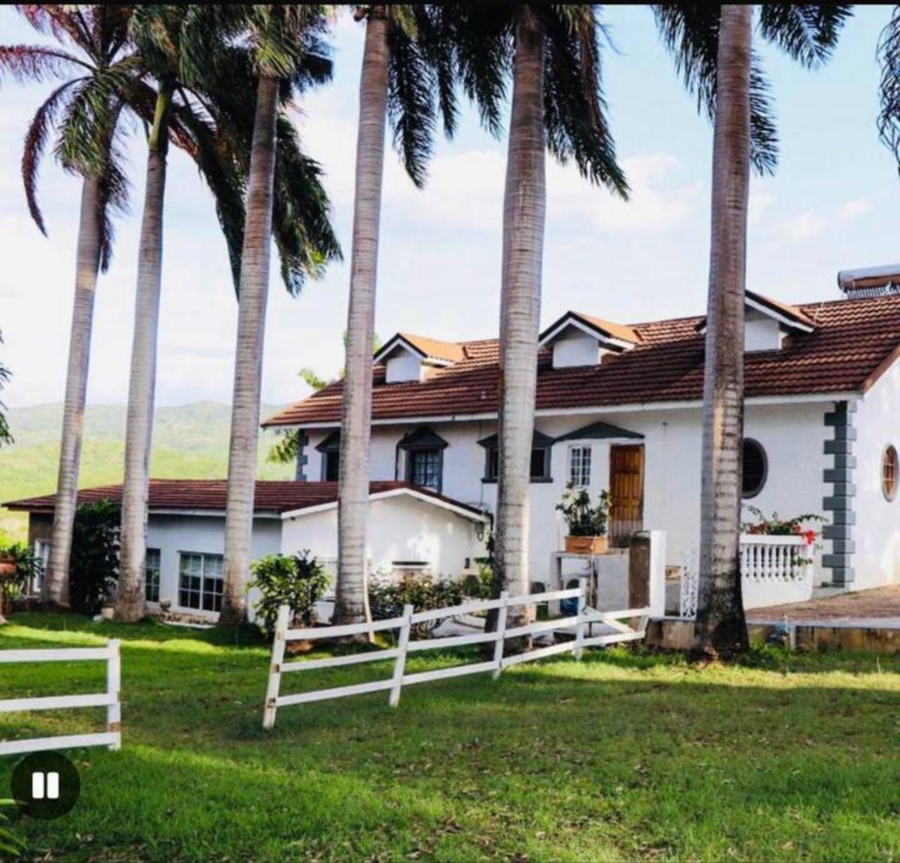 First image of 1-76 Mahogany Rd, Spring Farm in Half Moon, St. James, Jamaica - property is For Rent