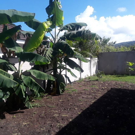 Eleventh image of 12 Drax Hall Polo Villas in Drax Hall Estate, St. Ann, Jamaica - property is For Rent