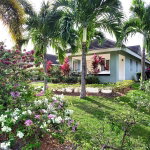 First image of 462 Cassava Ave Coolshade in St. Ann's Bay, St. Ann, Jamaica - property is For Rent