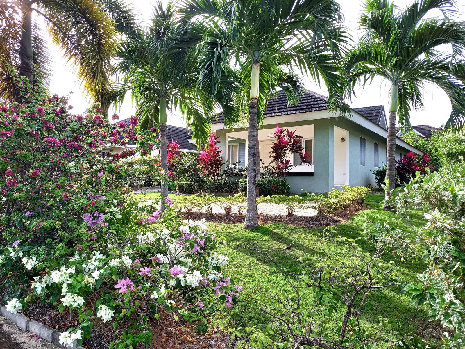 First image of 462 Cassava Ave Coolshade in St. Ann's Bay, St. Ann, Jamaica - property is For Rent