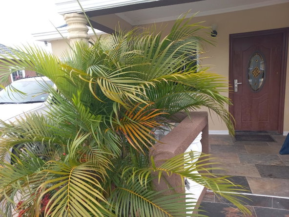 Seventh image of 13- Genesis Manor in Santa Cruz, St. Elizabeth, Jamaica - property is For Sale