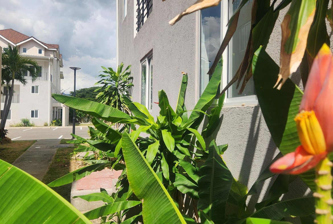 Ground-Floor-Apartment-for-Sale-in-Abia-Kingston-Modern-Amenities Twelfth image of 32-67 Shortwood Road, Kingston in Kingston 8, St. Andrew, Jamaica - property is For Sale