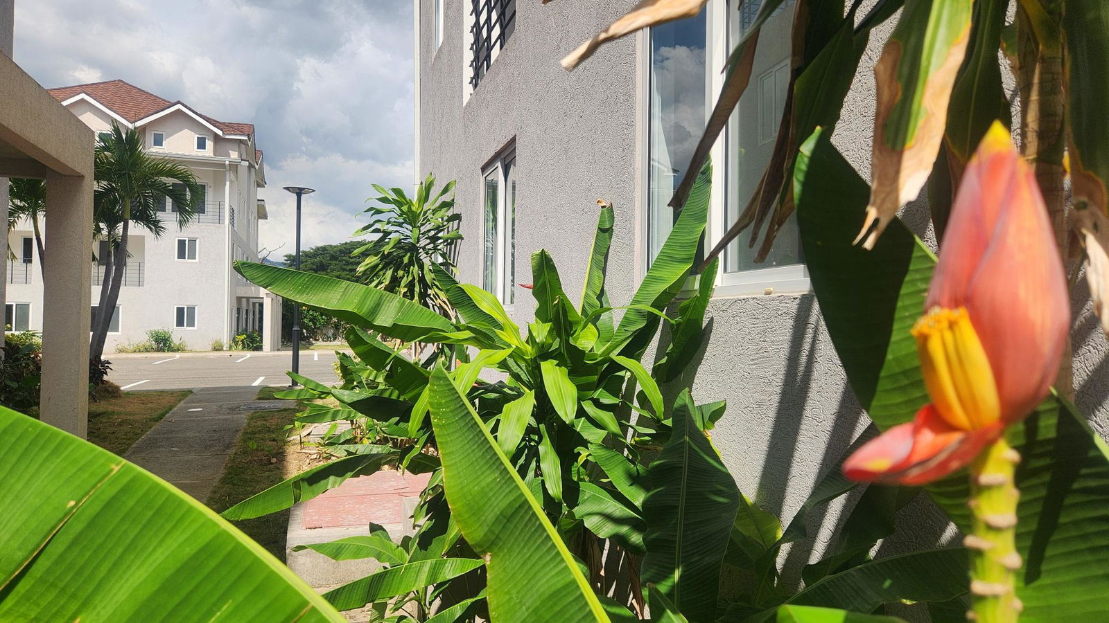 Ground-Floor-Apartment-for-Sale-in-Abia-Kingston-Modern-Amenities Twelfth image of 32-67 Shortwood Road, Kingston in Kingston 8, St. Andrew, Jamaica - property is For Sale