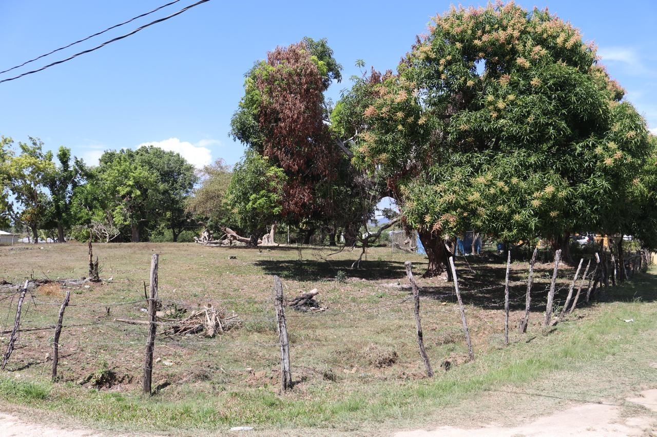 Second image of Part of Lower Works Pen in Black River, St. Elizabeth, Jamaica - property is For Sale