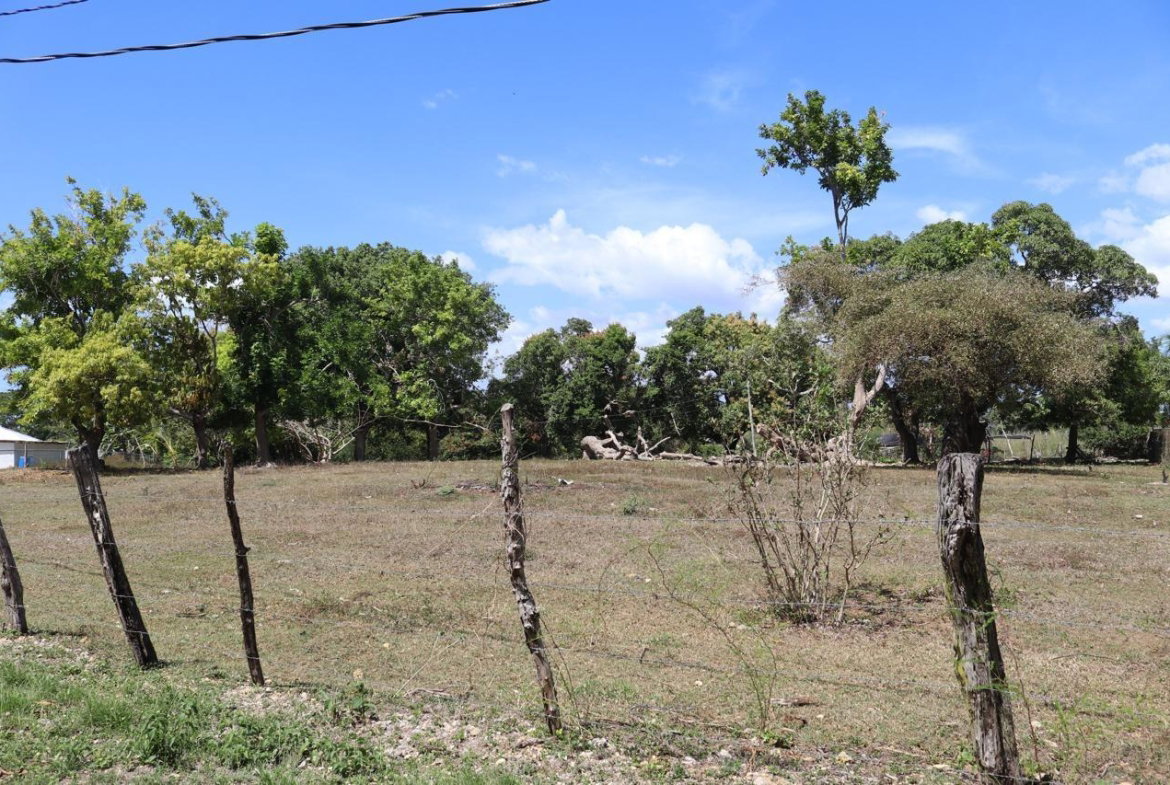 First image of Part of Lower Works Pen in Black River, St. Elizabeth, Jamaica - property is For Sale