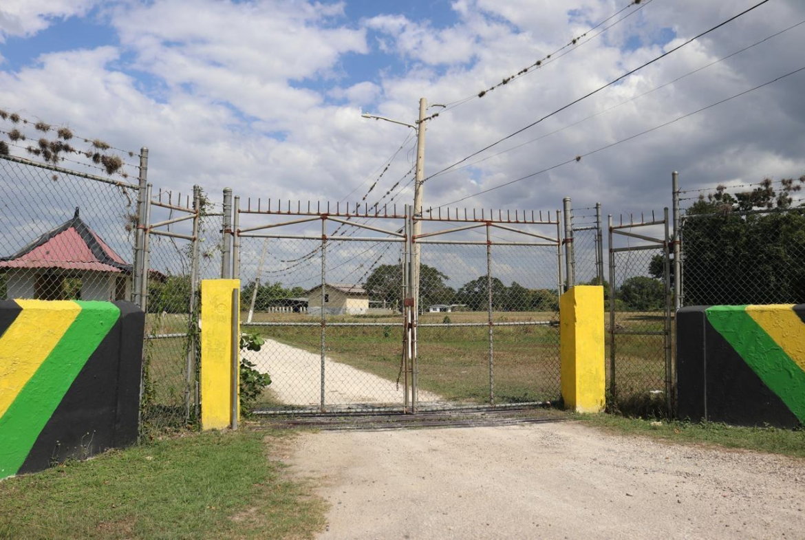 Thirteenth image of Part of Lower Works Pen in Black River, St. Elizabeth, Jamaica - property is For Sale