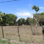 First image of Part of Lower Works Pen in Black River, St. Elizabeth, Jamaica - property is For Sale
