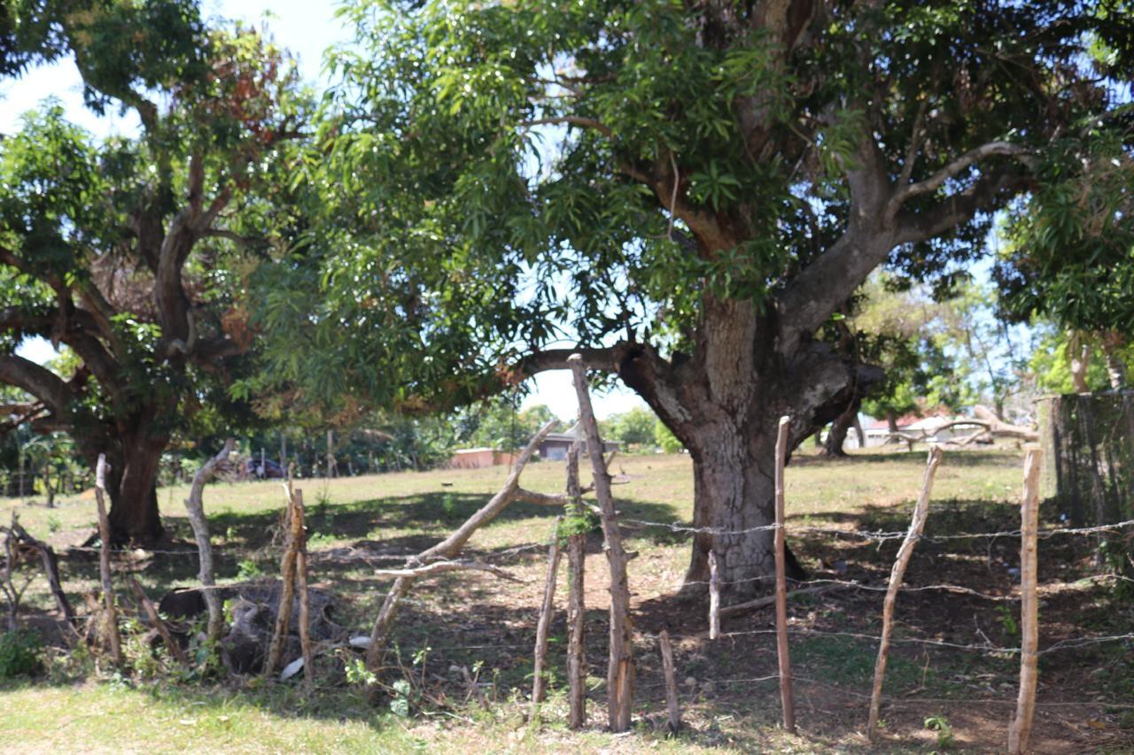 Third image of Part of Lower Works Pen in Black River, St. Elizabeth, Jamaica - property is For Sale