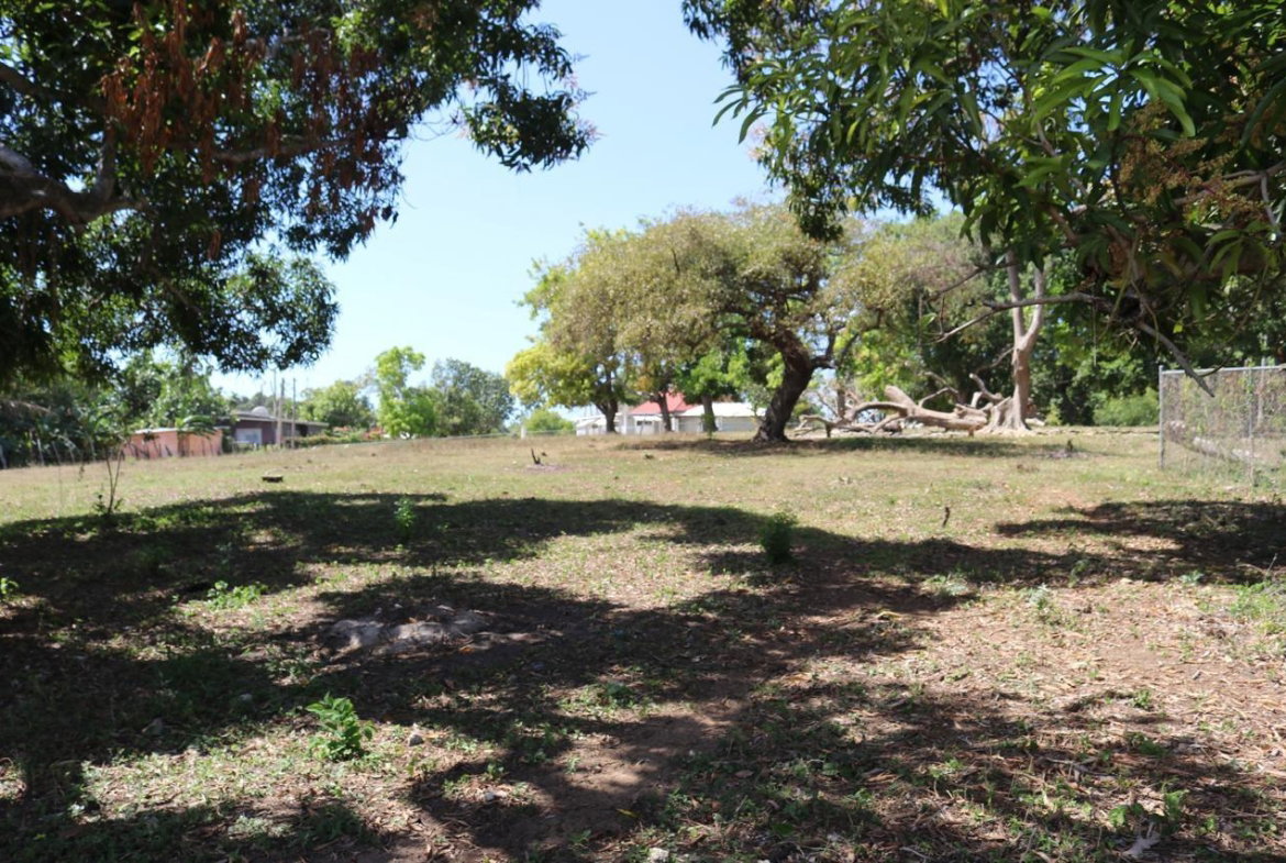 Fourth image of Part of Lower Works Pen in Black River, St. Elizabeth, Jamaica - property is For Sale
