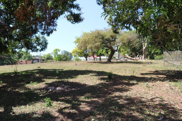 Fourth image of Part of Lower Works Pen in Black River, St. Elizabeth, Jamaica - property is For Sale