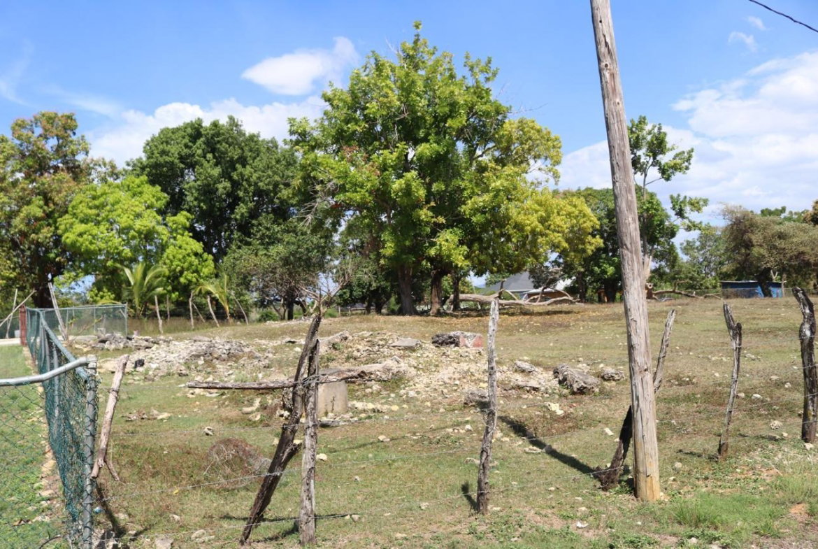 Fifth image of Part of Lower Works Pen in Black River, St. Elizabeth, Jamaica - property is For Sale