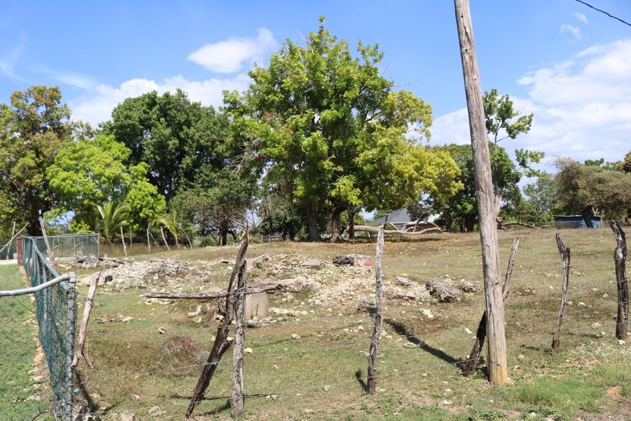Fifth image of Part of Lower Works Pen in Black River, St. Elizabeth, Jamaica - property is For Sale