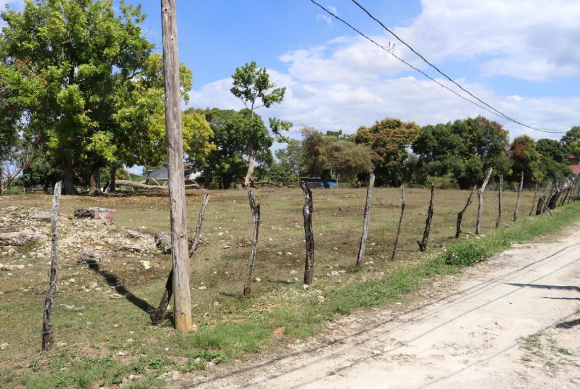 Sixth image of Part of Lower Works Pen in Black River, St. Elizabeth, Jamaica - property is For Sale