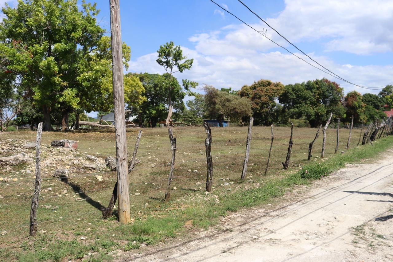 Sixth image of Part of Lower Works Pen in Black River, St. Elizabeth, Jamaica - property is For Sale