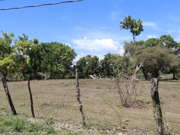 First image of Part of Lower Works Pen in Black River, St. Elizabeth, Jamaica - property is For Sale