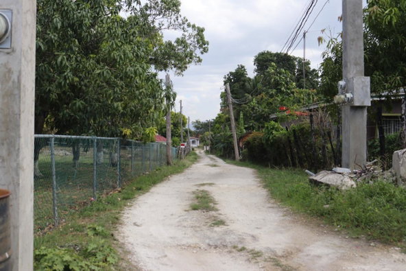 Ninth image of Part of Lower Works Pen in Black River, St. Elizabeth, Jamaica - property is For Sale