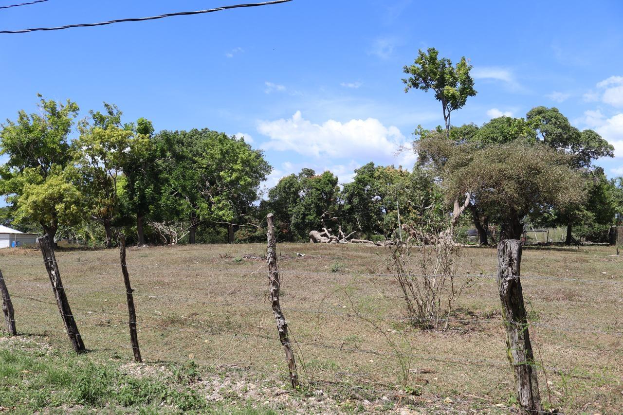 First image of Part of Lower Works Pen in Black River, St. Elizabeth, Jamaica - property is For Sale