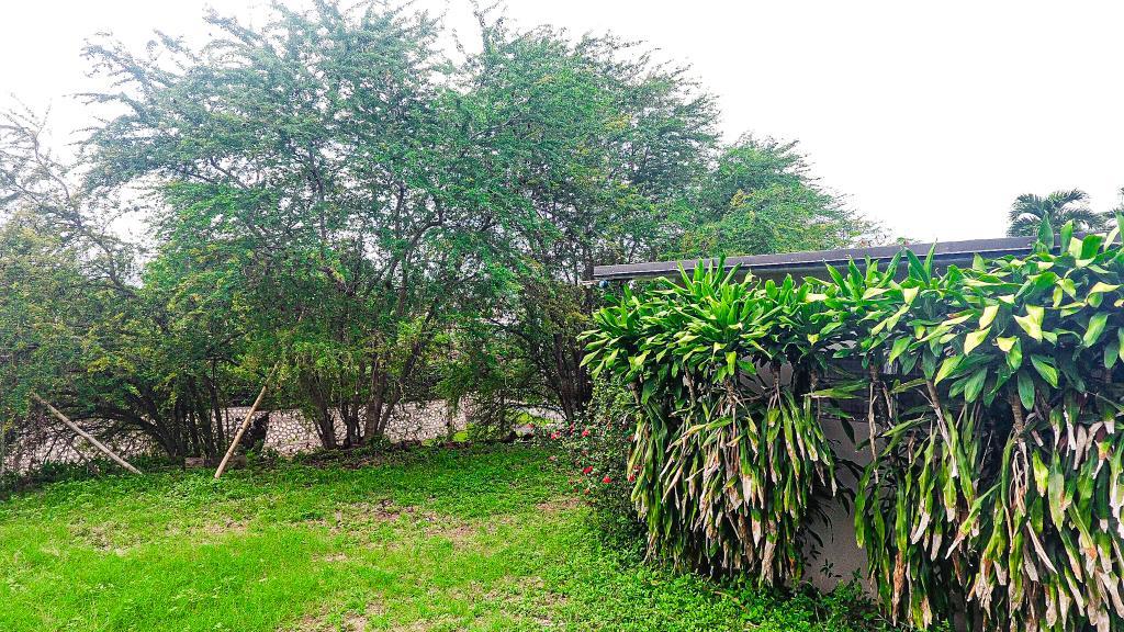Twenty-First image of 7 Garth Road, Kingston 8 in Kingston 8, St. Andrew, Jamaica - property is For Sale