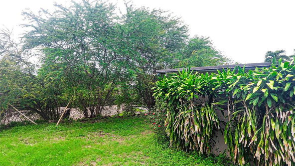 Twenty-First image of 7 Garth Road, Kingston 8 in Kingston 8, St. Andrew, Jamaica - property is For Sale