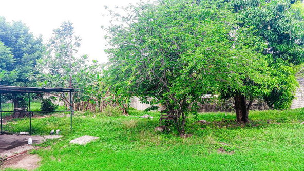 Twenty-Fifth image of 7 Garth Road, Kingston 8 in Kingston 8, St. Andrew, Jamaica - property is For Sale