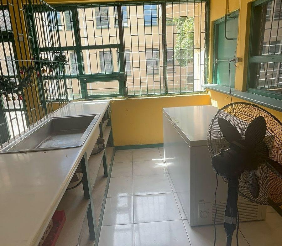 Fifth image of 4-10 South Avenue in Kingston 4, Kingston, Jamaica - property is For Rent