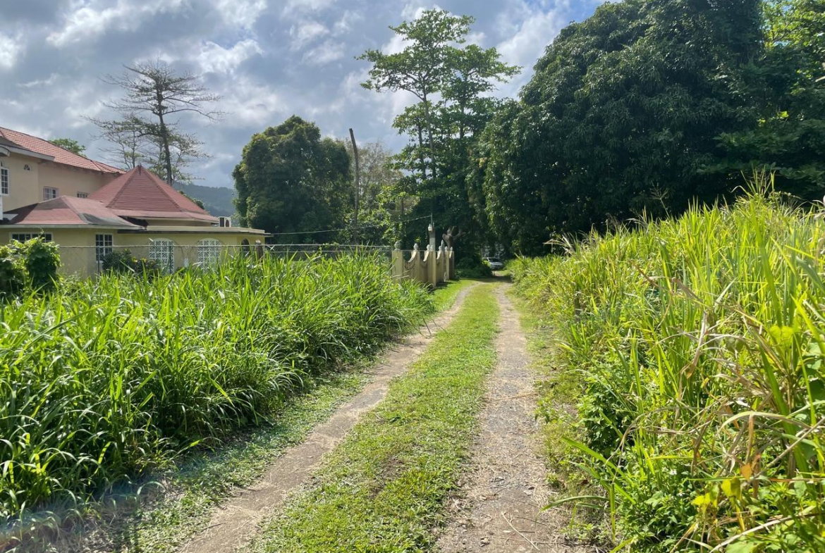 Second image of Lot-8 Burlington Estate in Burlington, Portland, Jamaica - property is For Sale