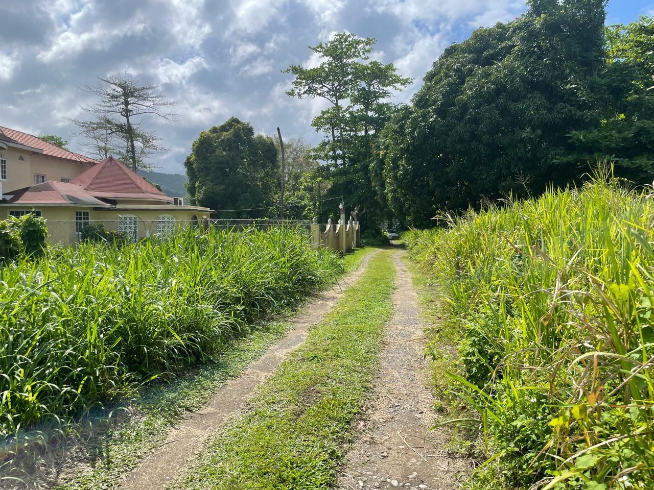 Second image of Lot-8 Burlington Estate in Burlington, Portland, Jamaica - property is For Sale