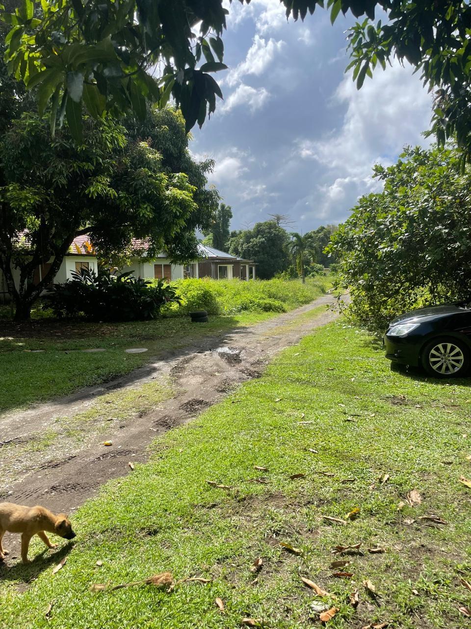 Fourth image of Lot-8 Burlington Estate in Burlington, Portland, Jamaica - property is For Sale