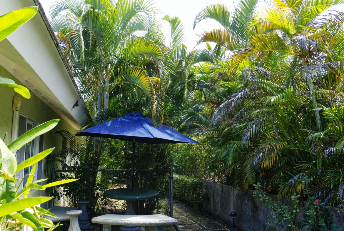 Twelfth image of 314 Guava Avenue in Laughlands, St. Ann, Jamaica - property is For Rent