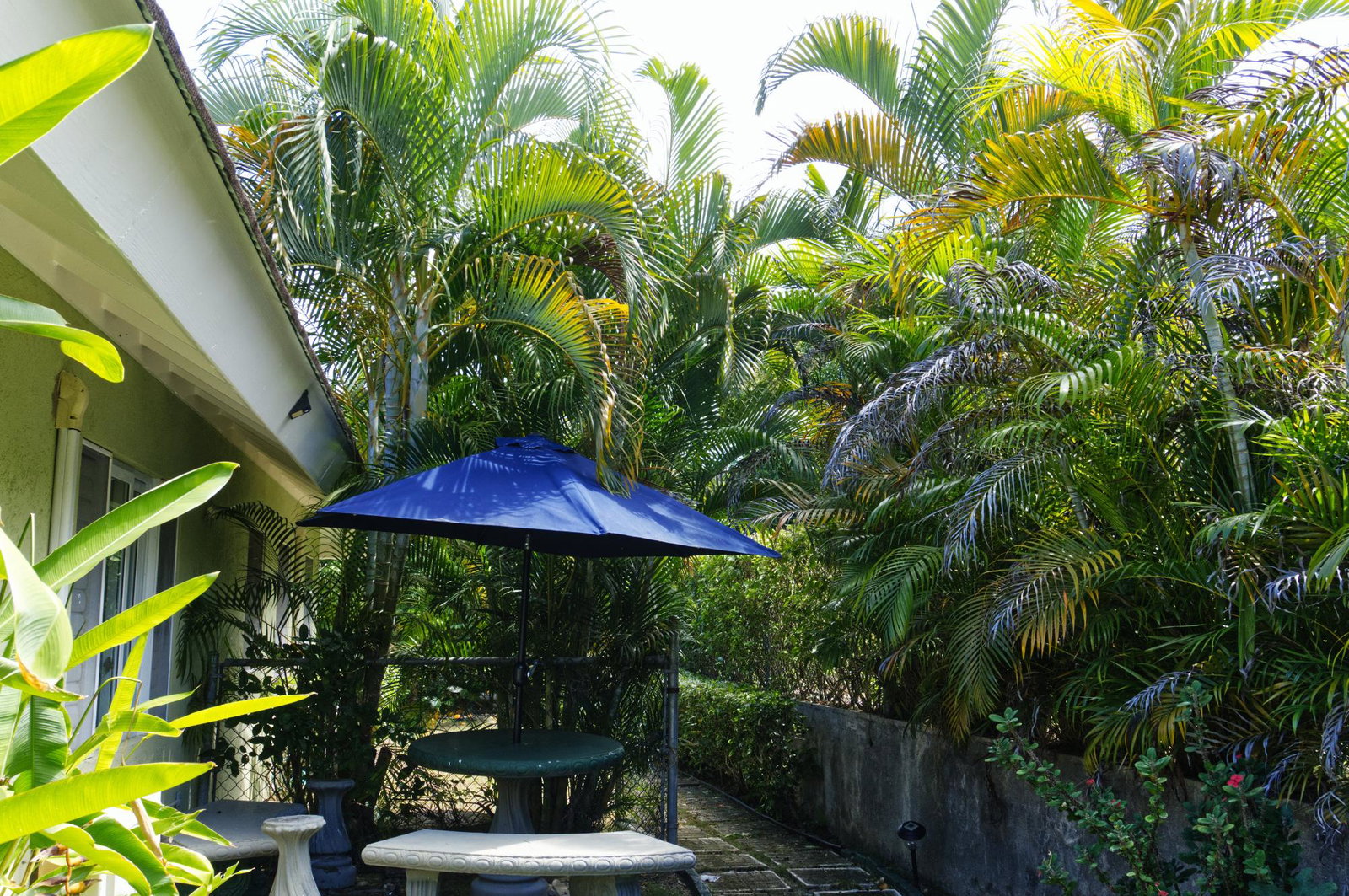 Luxurious-Villa-for-Rent-in-Richmond-Estates-Palms-St.-Ann-Jamaica Twelfth image of 314 Guava Avenue in Laughlands, St. Ann, Jamaica - property is For Rent