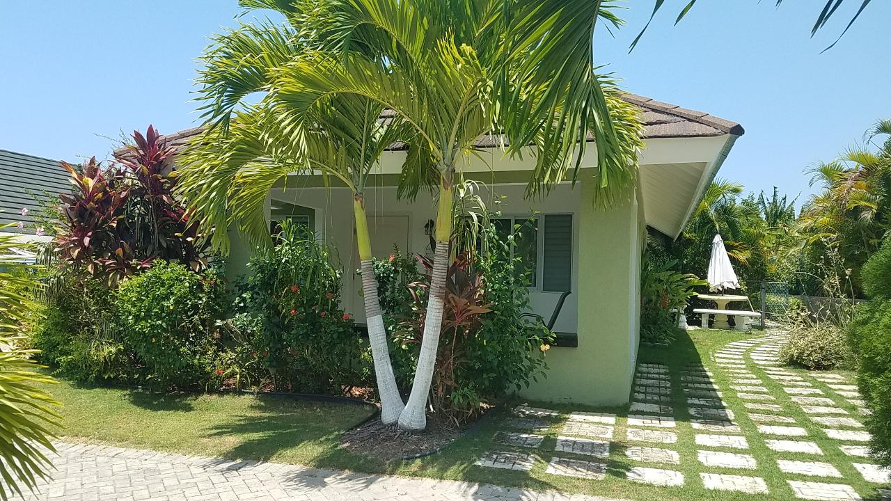 Luxurious-Villa-for-Rent-in-Richmond-Estates-Palms-St.-Ann-Jamaica Third image of 314 Guava Avenue in Laughlands, St. Ann, Jamaica - property is For Rent