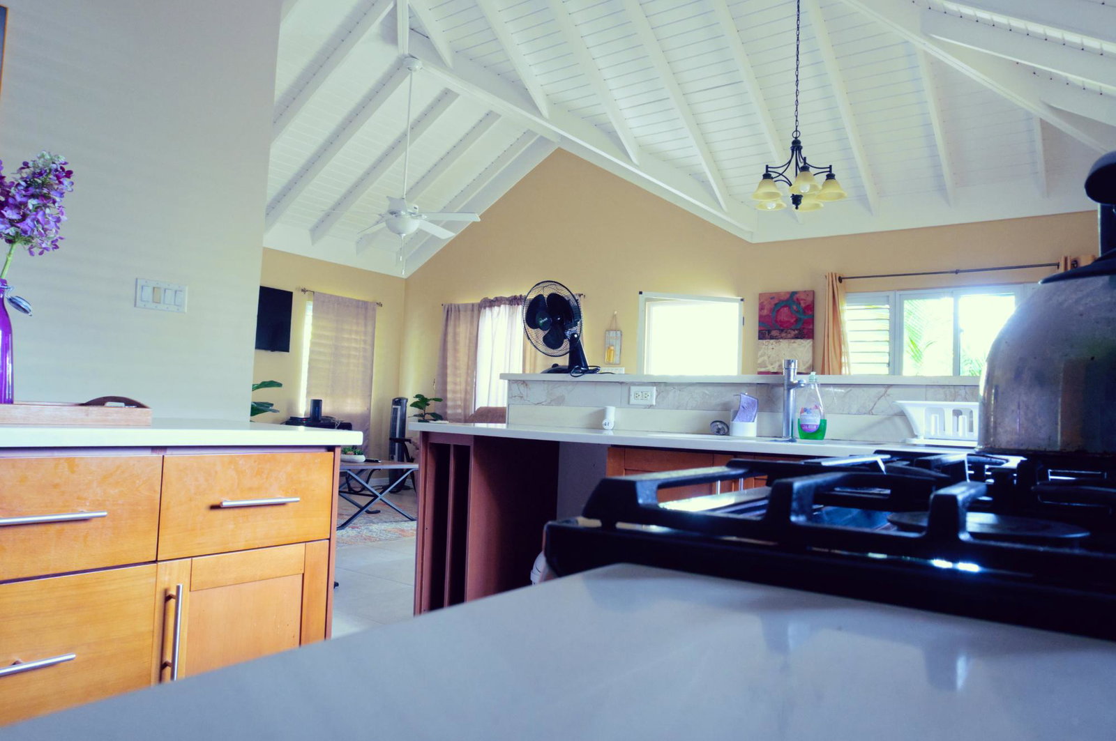 Luxurious-Villa-for-Rent-in-Richmond-Estates-Palms-St.-Ann-Jamaica Twenty-Eighth image of 314 Guava Avenue in Laughlands, St. Ann, Jamaica - property is For Rent