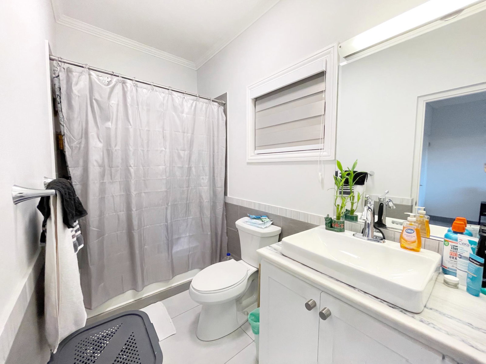 Twenty-Second image of 10-11 Millsborough Avenue in Kingston 6, St. Andrew, Jamaica - property is For Rent