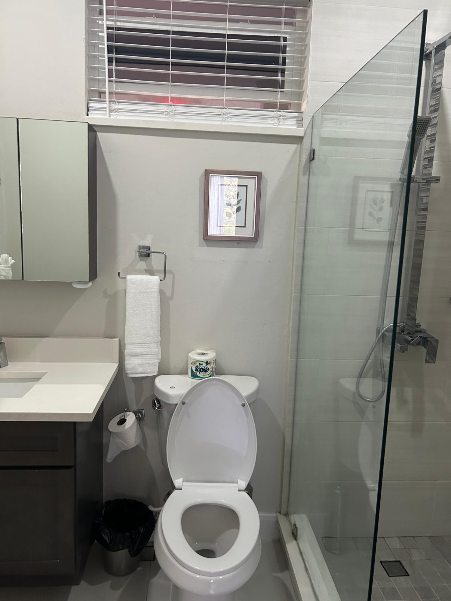 Twenty-First image of A4-lot 36 Ocean Springs Apartment in Reading, St. James, Jamaica - property is For Sale