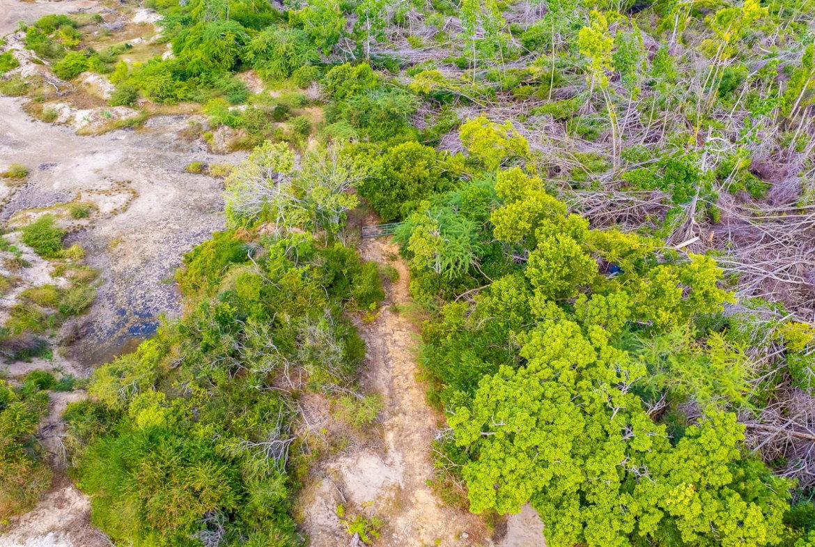 Sixth image of Fort Charles, Treasure be in Treasure Beach, St. Elizabeth, Jamaica - property is For Sale
