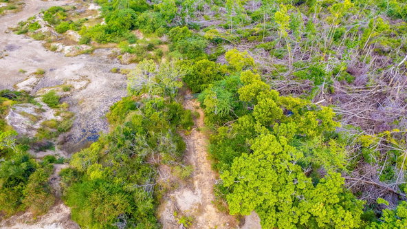 Sixth image of Fort Charles, Treasure be in Treasure Beach, St. Elizabeth, Jamaica - property is For Sale