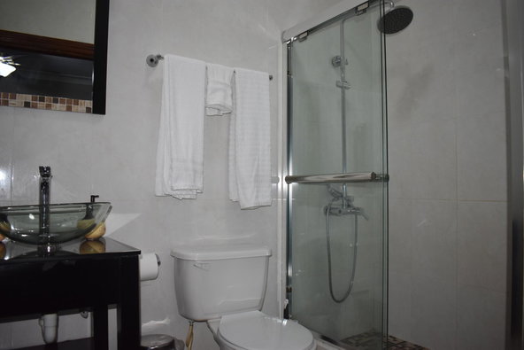 Twenty-Fourth image of 23-7 Liguanea Avenue, Kingston in Kingston 6, St. Andrew, Jamaica - property is For Rent