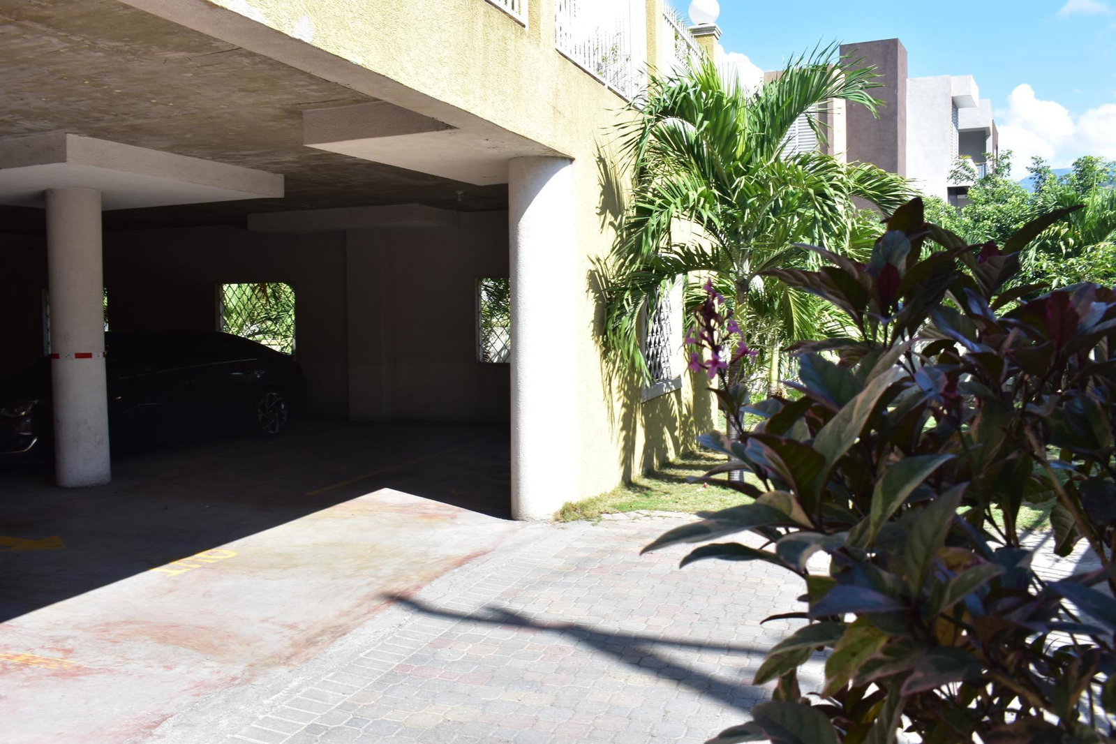 Twenty-Eighth image of 23-7 Liguanea Avenue, Kingston in Kingston 6, St. Andrew, Jamaica - property is For Rent